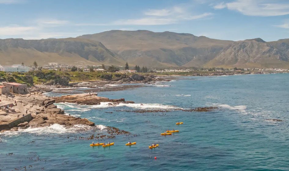 Hermanus